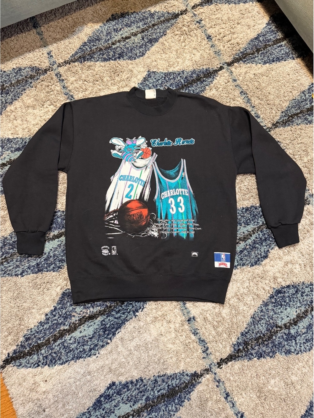 Charlotte Hornets Nutmeg Crewneck
